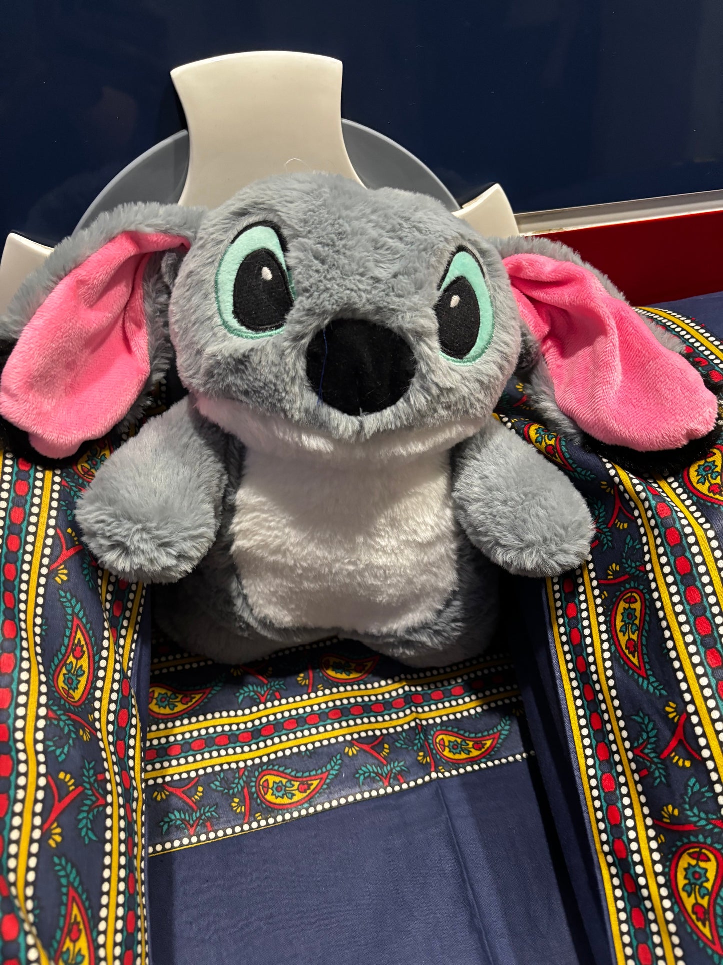 WarmHug Hot Water Plushie- Made in India (LIMITED EDITION)