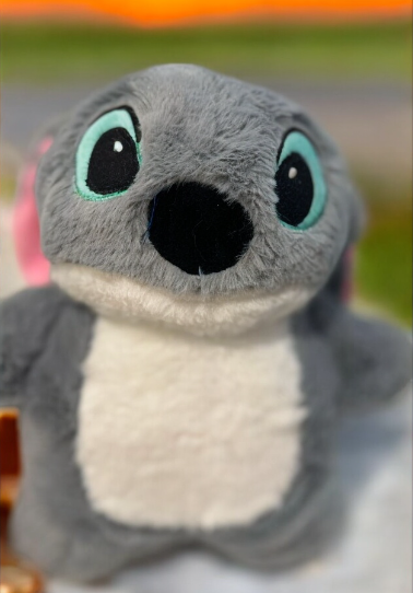 WarmHug Hot Water Plushie- Made in India (LIMITED EDITION)