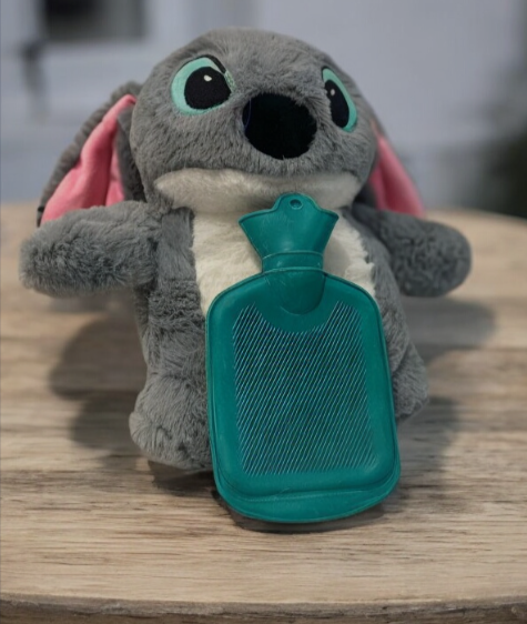 WarmHug Hot Water Plushie- Made in India (LIMITED EDITION)